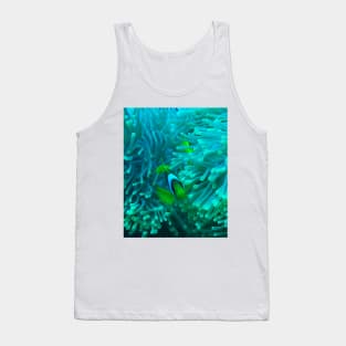 Clownfish Tank Top